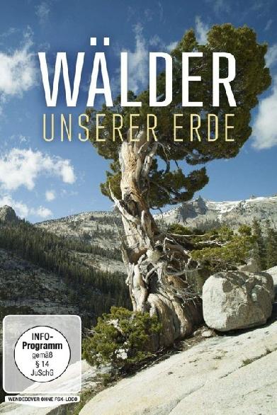 Wälder unserer Erde