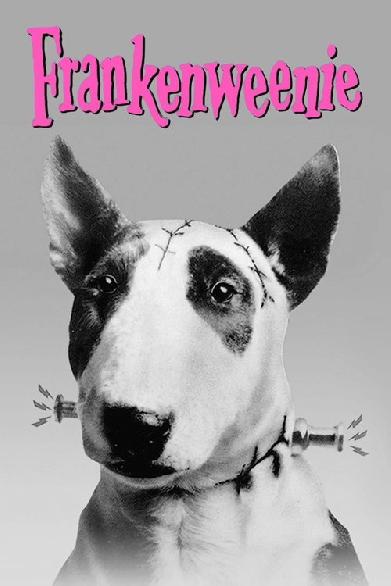 Frankenweenie