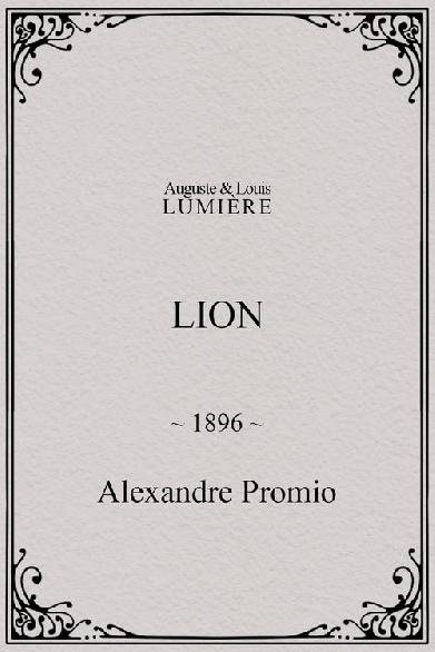 Lion