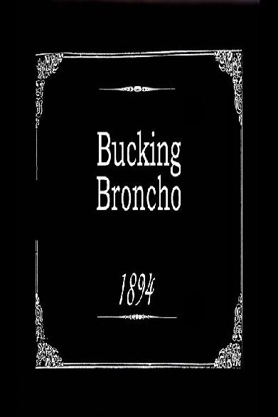 Bucking Broncho