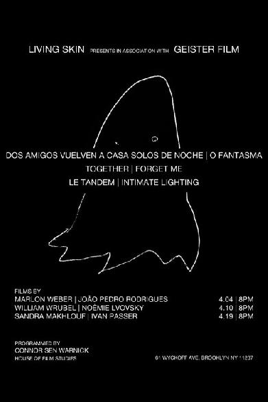 Dos amigos regresan a casa solos de noche