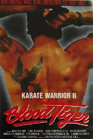Karate Warrior 2