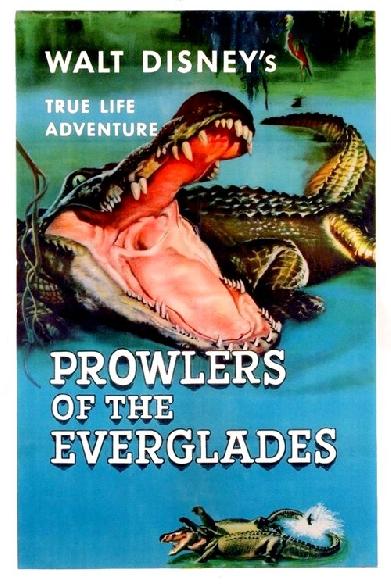Everglades - Im Reich der lebenden Dinosaurier