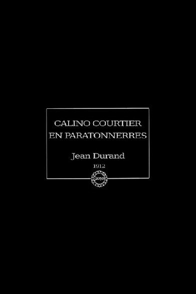 Calino courtier en paratonnerres