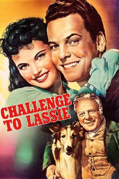 Lassie in Not