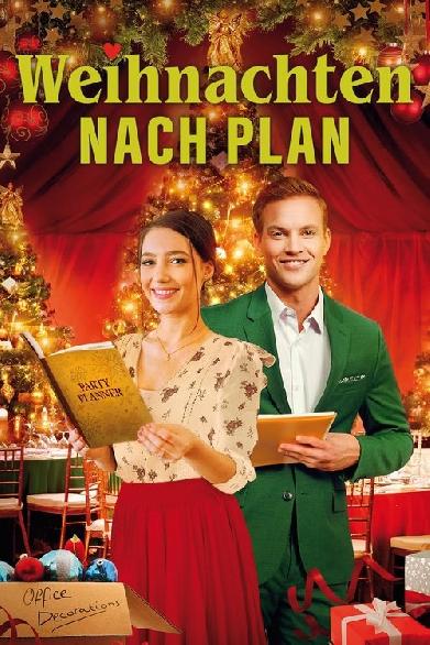 Weihnachten nach Plan