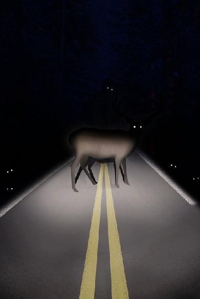 Roadkill