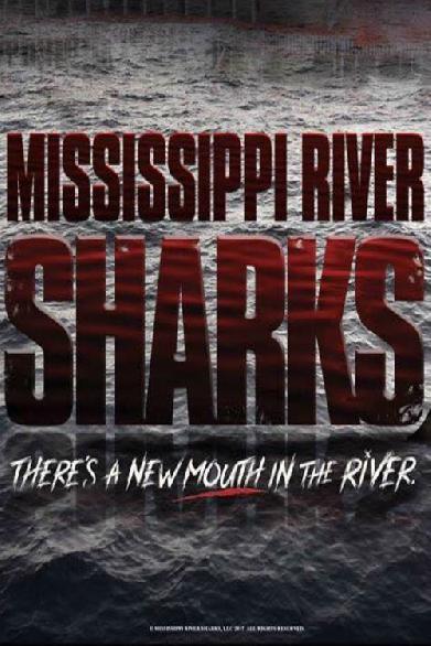 Mississippi River Sharks