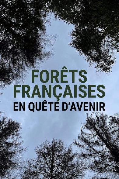 Forêts françaises en quête d'avenir