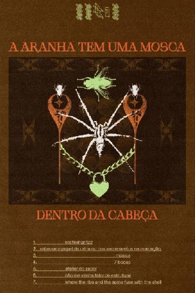 A aranha tem uma mosca dentro da cabeça