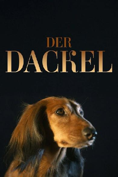 Der Dackel